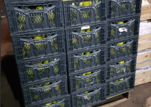 Contaminação Cruzada: Como Evitar no Transporte de Alimentos