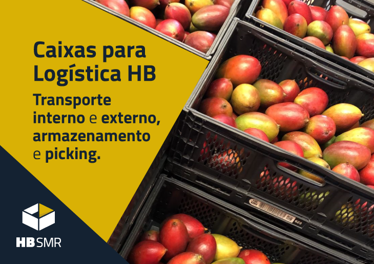 Caixas para Logística: Transporte Interno ou Externo, Armazenamento e Picking