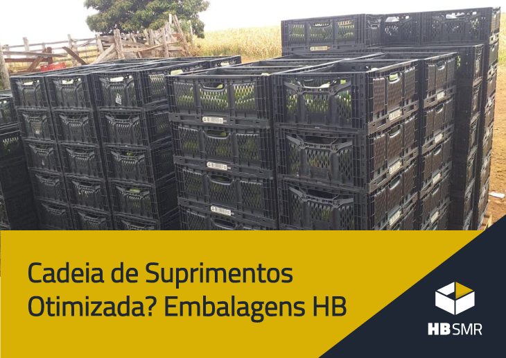 Cadeia de suprimentos otimizada? Embalagens HB