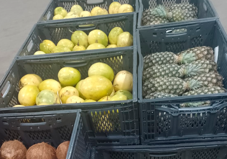 Armazenar e transportar hortifrutis