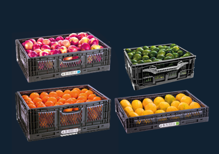 Caixas retornáveis para todos períodos de safra