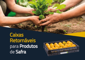 Caixas Retornáveis para Produtos de Safra