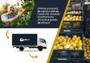 Otimize processos de logística com as Caixas HB