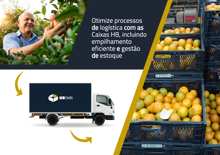 Otimize processos de logística com as Caixas HB
