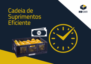 Cadeia de Suprimentos Eficiente