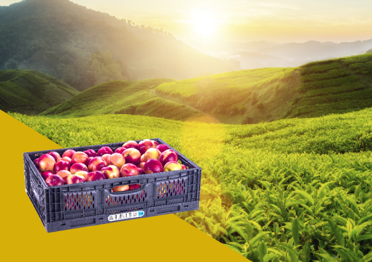 Caixas HB são amigas do meio ambiente