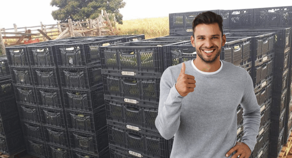 Satisfação para todos os envolvidos na cadeia de suprimentos de FLVs com as Caixas HB